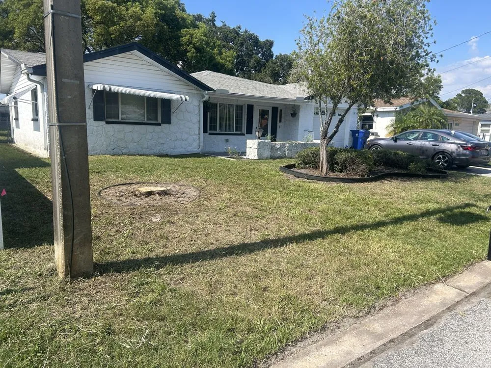 Custom yard maintenance with custom design in Moon Lake Estates, FL by LawnMo Romeo