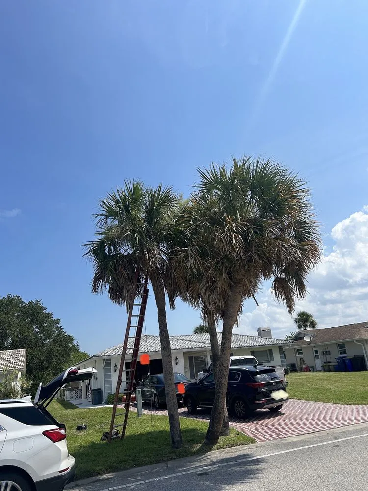 Affordable residential landscaping in Moon Lake Estates, FL by LawnMo Romeo