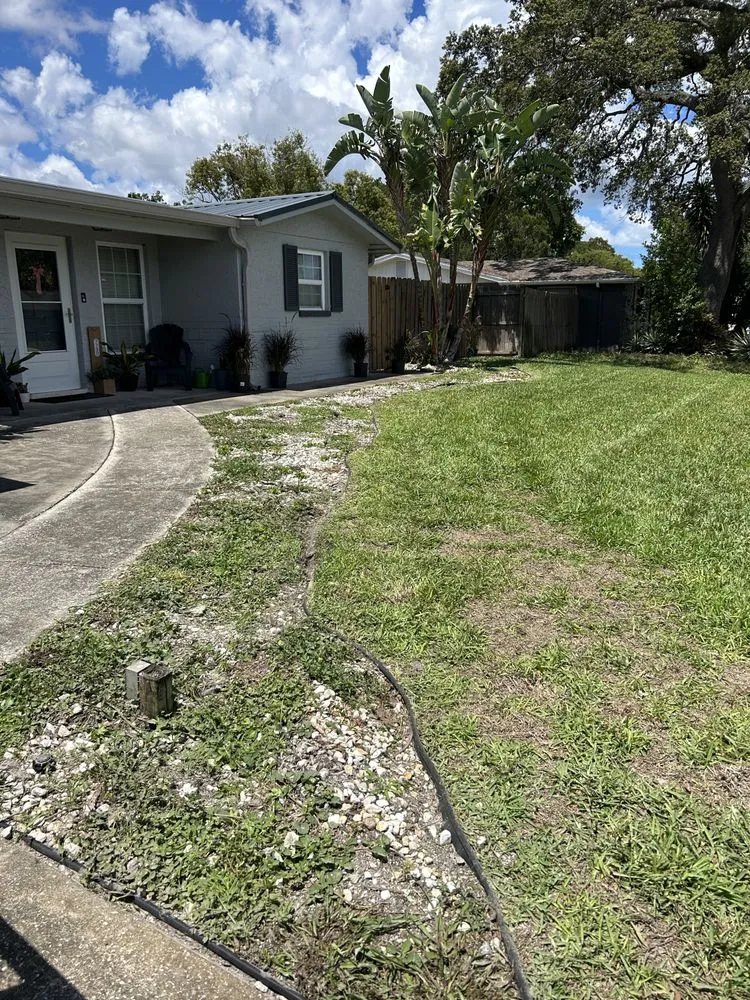 Professional yard maintenance in Moon Lake Estates, FL by LawnMo Romeo