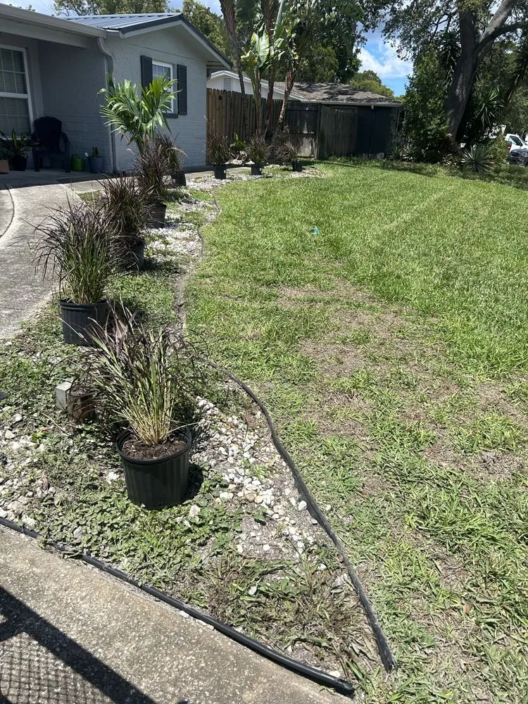 Custom lawn mowing service in Moon Lake Estates, FL by LawnMo Romeo