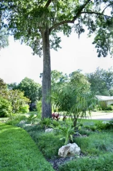 Trusted lawn mowing service experts serving Gainsville, FL - LawnMore