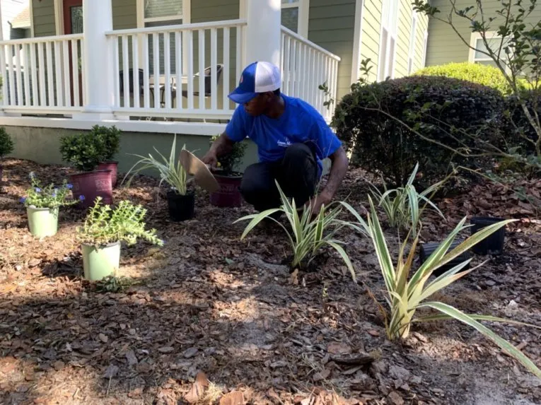 Affordable residential landscaping experts serving Gainsville, FL - LawnMore