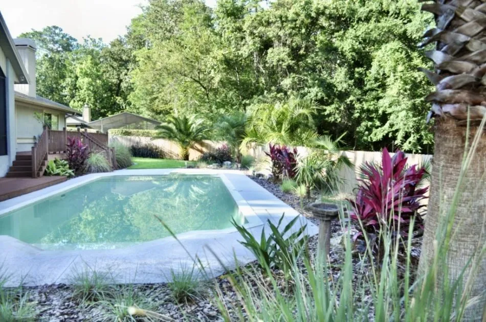 Affordable yard cleanup service in Gainsville, FL - LawnMore