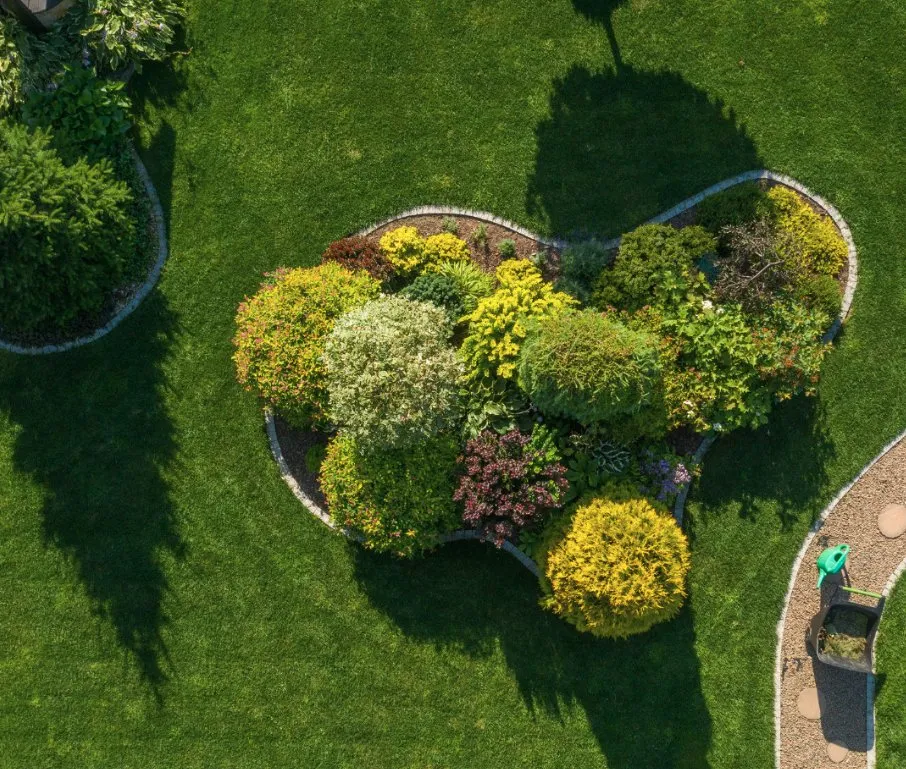 Top-rated landscaping services near you across Gainsville, FL - LawnMore