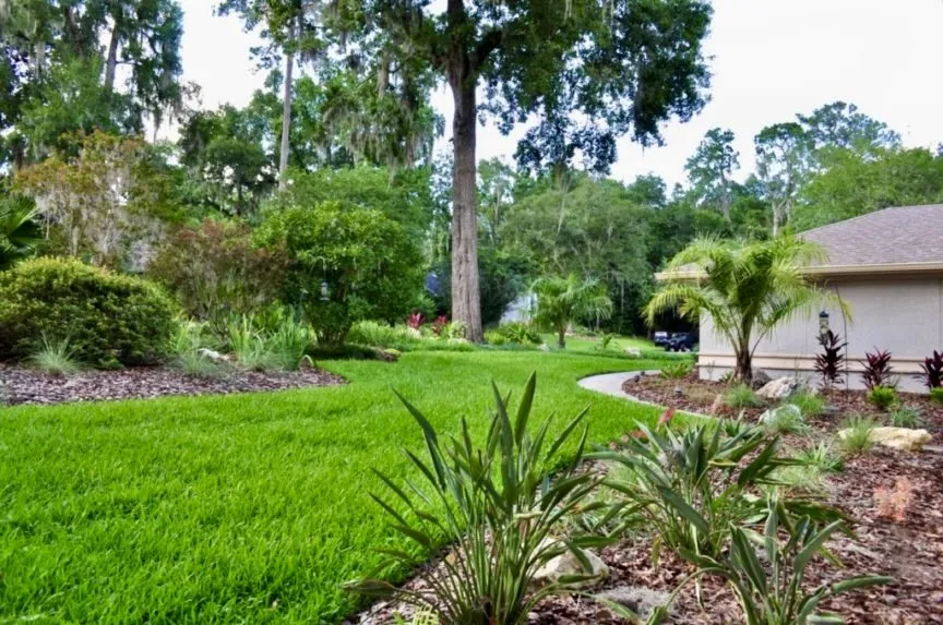Expert yard maintenance in Gainsville, FL by LawnMore