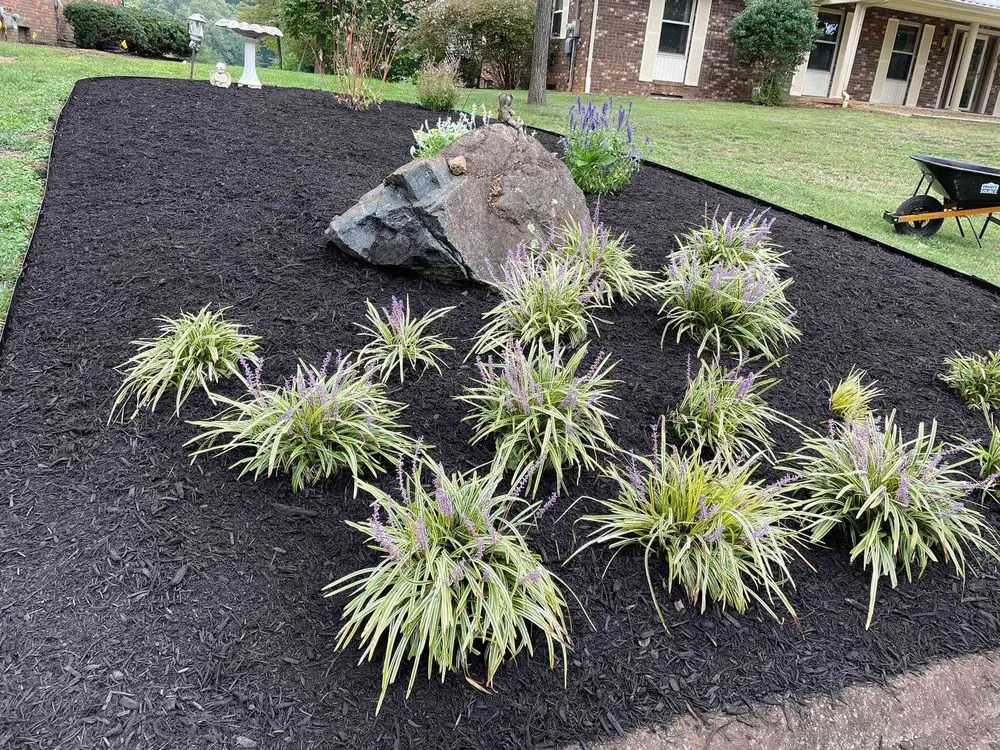 Affordable lawn care service in Morristown, TN - Lawnmow Landscaping