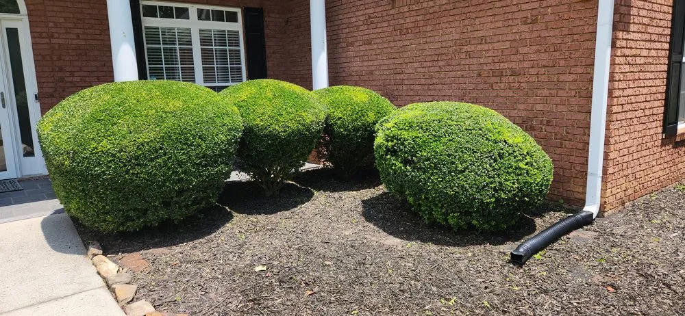 Top-rated lawn mowing service for year-round maintenance in Grayson, GA by Lawnmower Boys