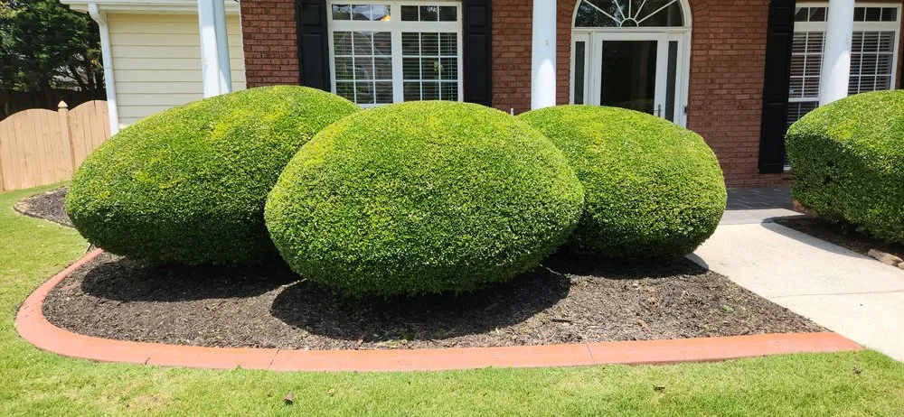 Local yard maintenance for residential properties in Grayson, GA by Lawnmower Boys