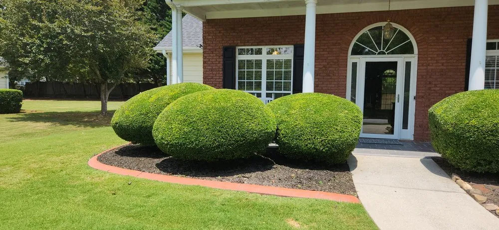 Expert yard cleanup service for residential properties in Grayson, GA by Lawnmower Boys