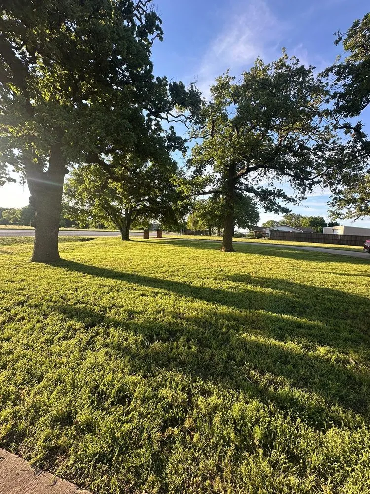 Trusted lawn mowing service in Whitesboro, TX by Lawnmower Landscaping