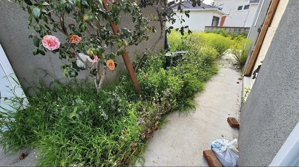 Top-rated yard cleanup service near you in Los Angeles, CA by Lawnmowers Landscaping