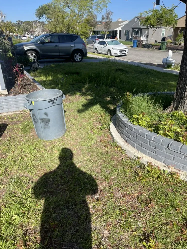 Affordable yard cleanup service for year-round maintenance in Los Angeles, CA by Lawnmowers Landscaping