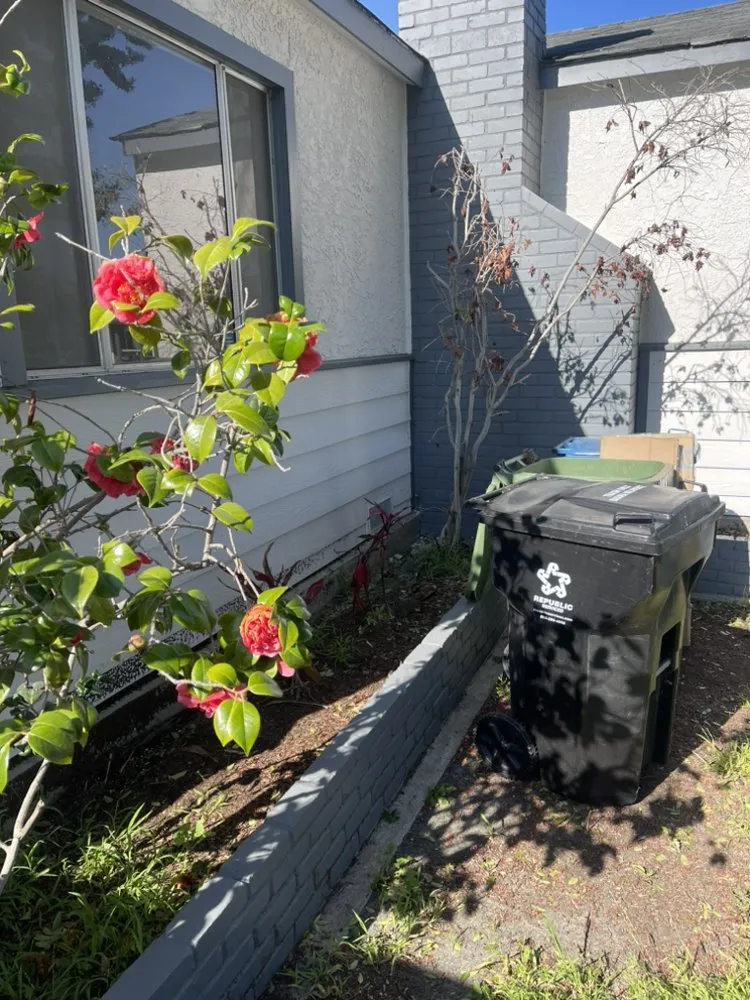 Top-rated residential landscaping for year-round maintenance in Los Angeles, CA by Lawnmowers Landscaping