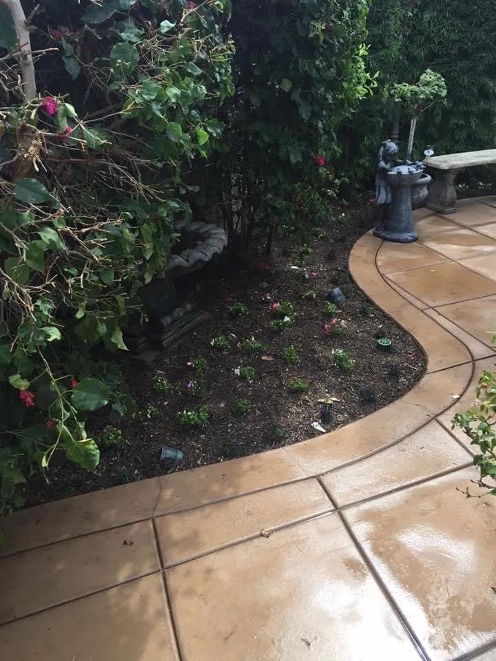 Expert lawn care service in Los Angeles, CA - Lawnmowers Landscaping