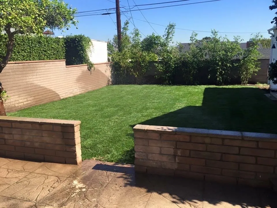 Professional lawn care service near you in Los Angeles, CA by Lawnmowers Landscaping