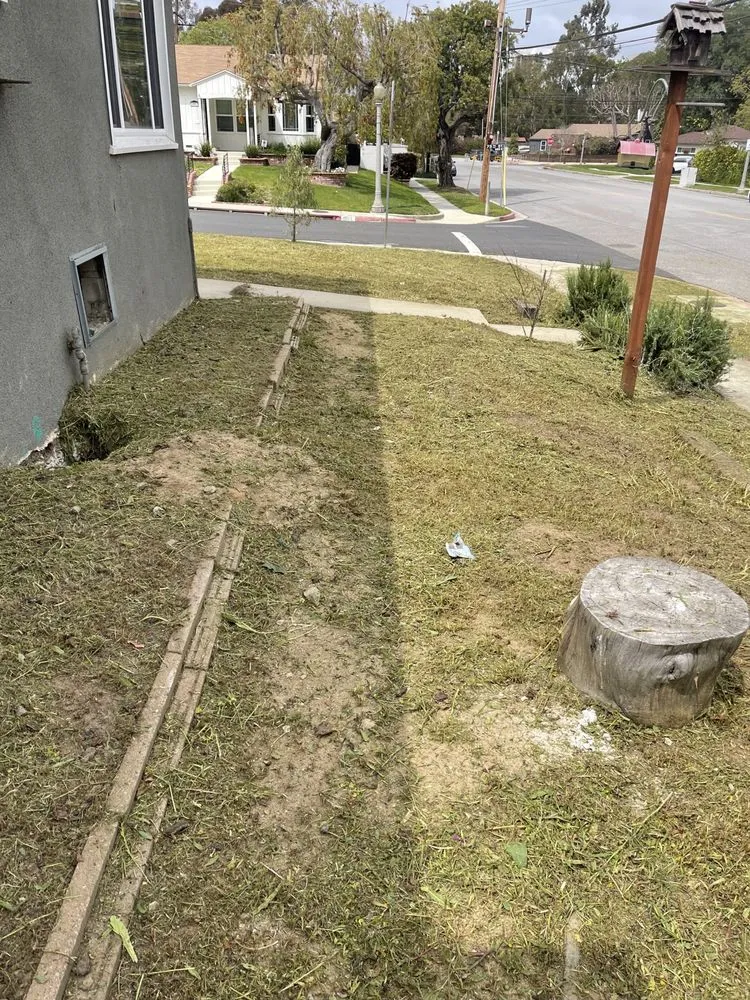 Professional lawn care service in Los Angeles, CA - Lawnmowers Landscaping