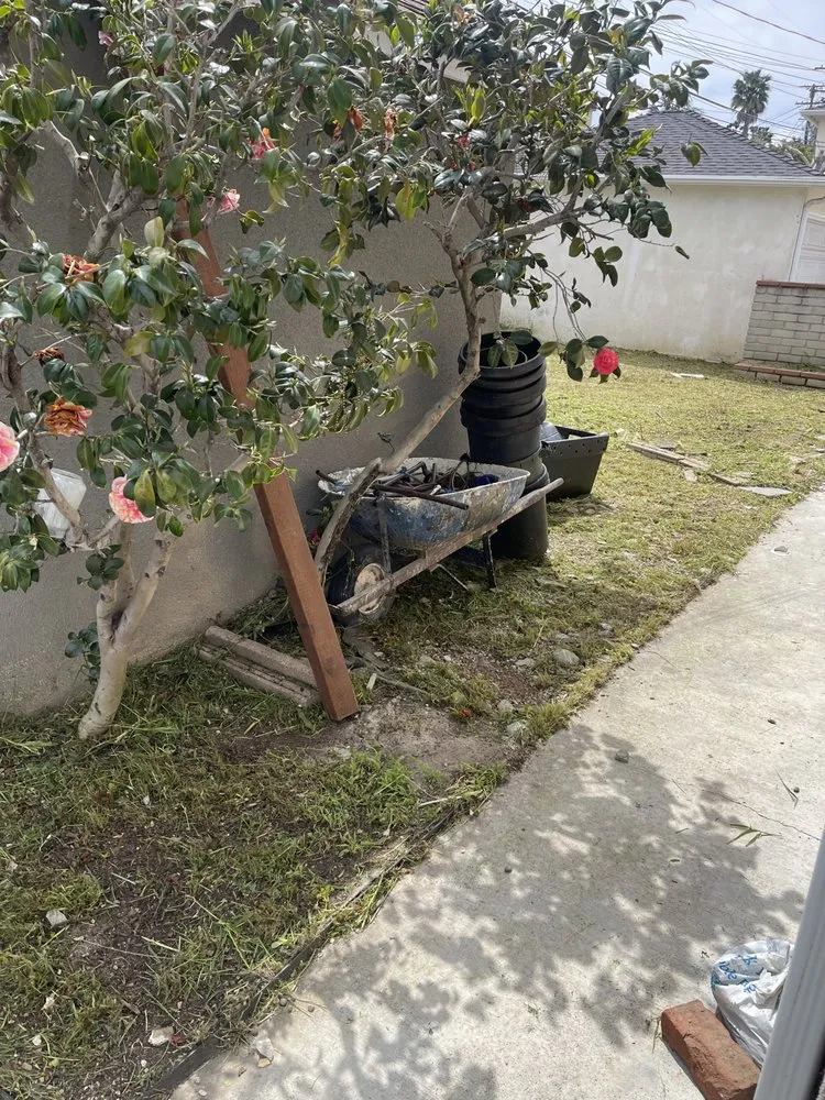 Professional lawn care service for residential properties in Los Angeles, CA by Lawnmowers Landscaping