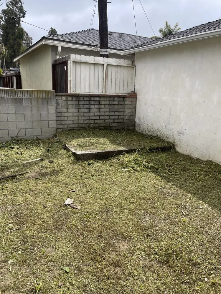 Reliable landscaping services in Los Angeles, CA - Lawnmowers Landscaping