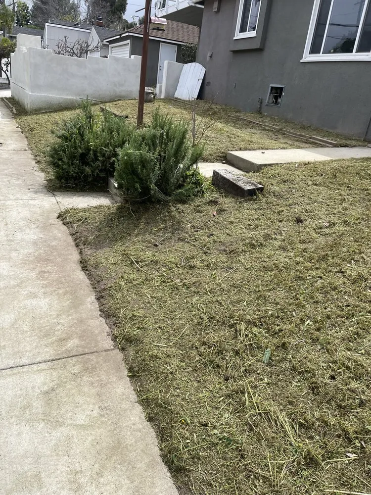 Expert residential landscaping experts serving Los Angeles, CA - Lawnmowers Landscaping