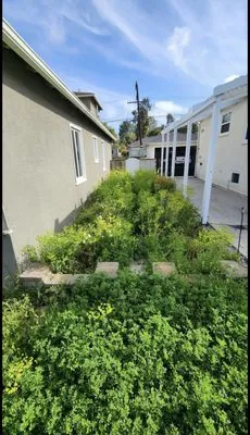 Lawnmowers Landscaping Logo