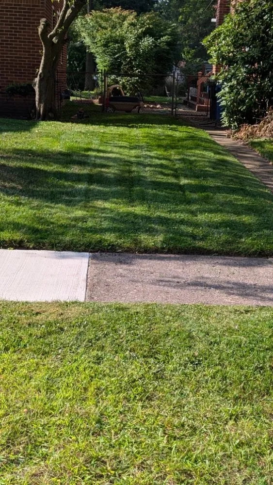 Reliable landscaping services in Redford, MI - Lawnology Lawn Service