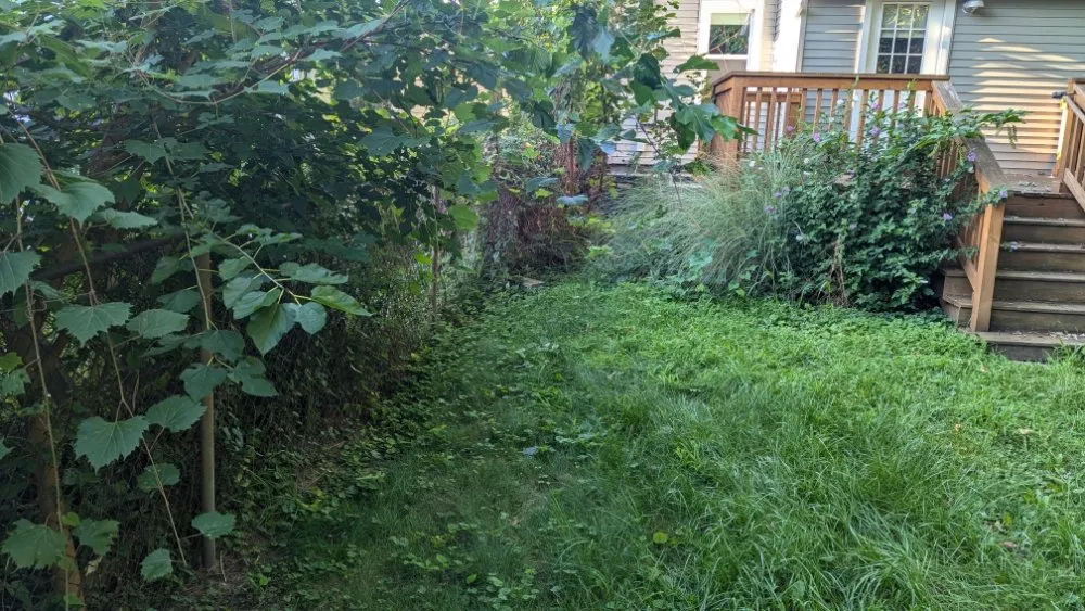 Trusted lawn mowing service experts serving Redford, MI - Lawnology Lawn Service