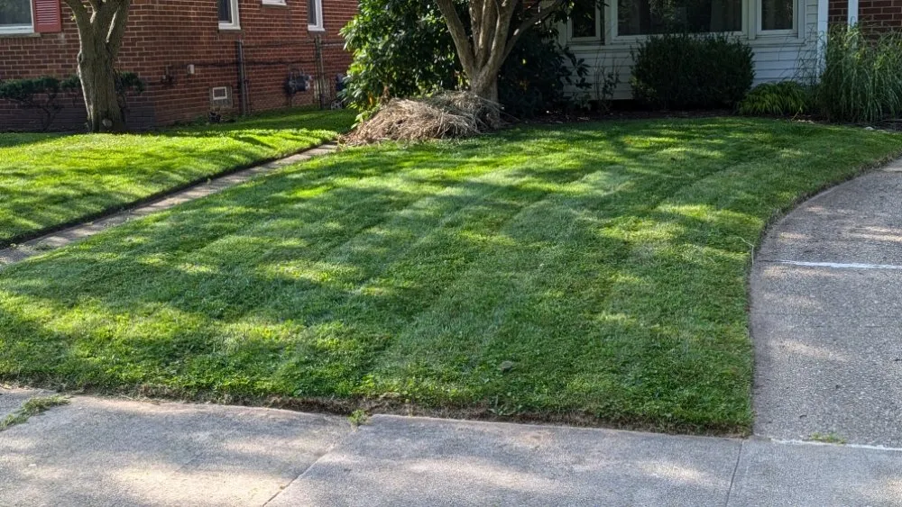 Custom yard cleanup service experts serving Redford, MI - Lawnology Lawn Service