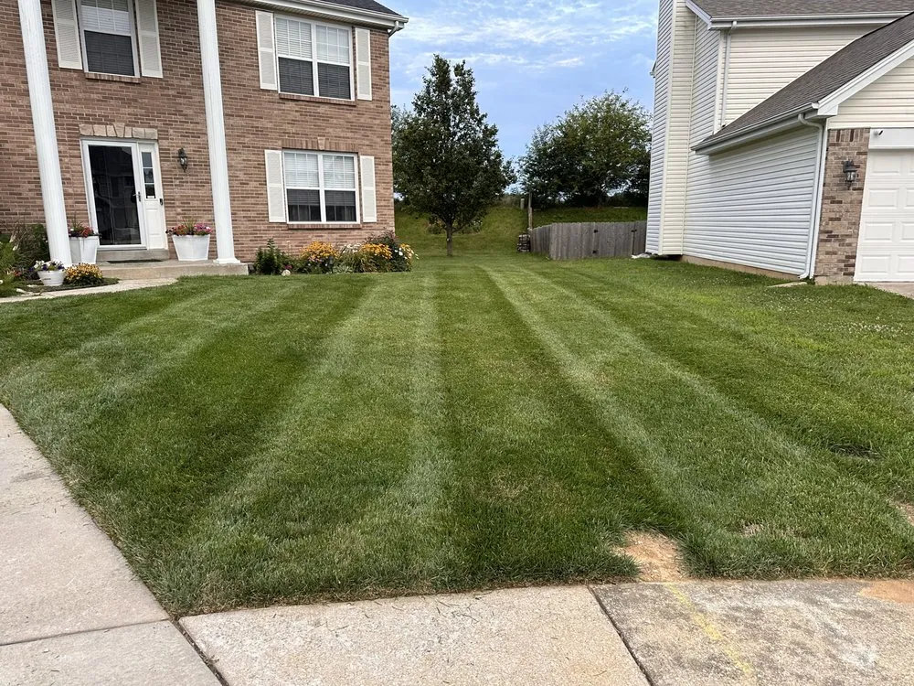 Top-rated lawn care service for year-round maintenance across Wentzville, MO - Lawnology
