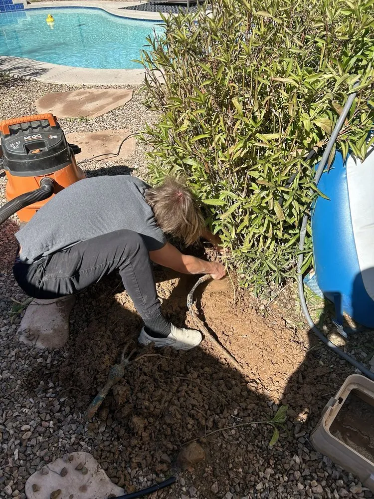 Local residential landscaping in New River, AZ - Lawnovations