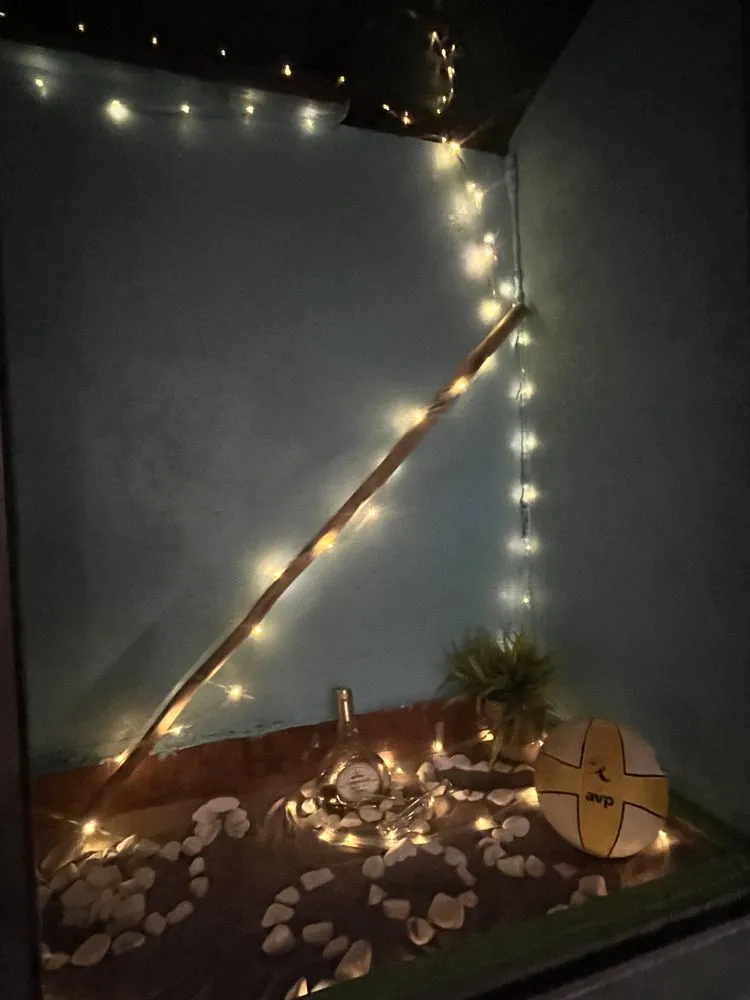 Affordable landscape installation experts serving New River, AZ - Lawnovations