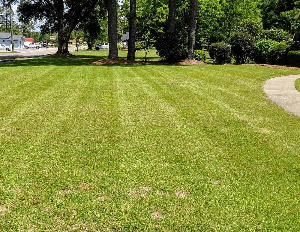 Reliable lawn mowing service for homes in Opp, AL by LawnPro- Opp