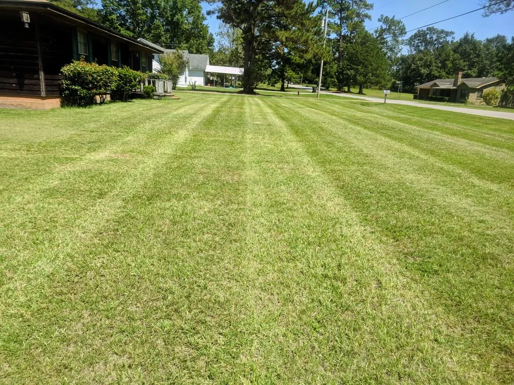 Affordable landscaping services in Opp, AL by LawnPro- Opp