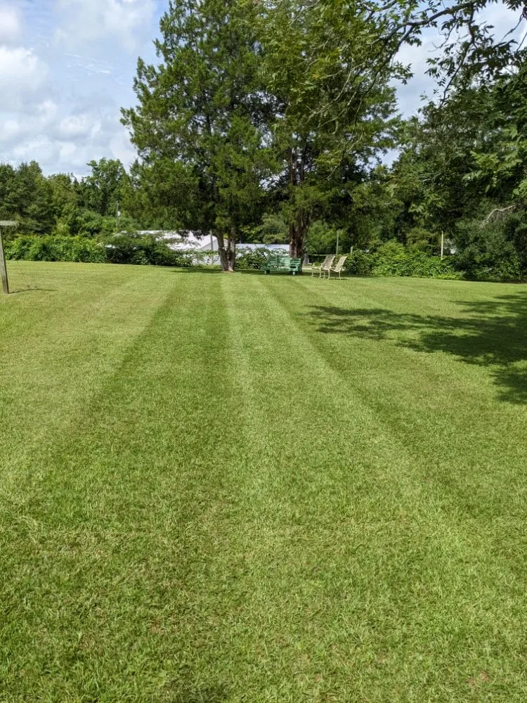 Expert landscape design for homes across Opp, AL - LawnPro- Opp