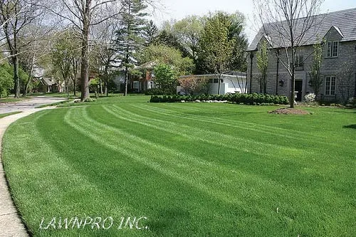 Expert lawn care service in Madison, TN - LawnPro