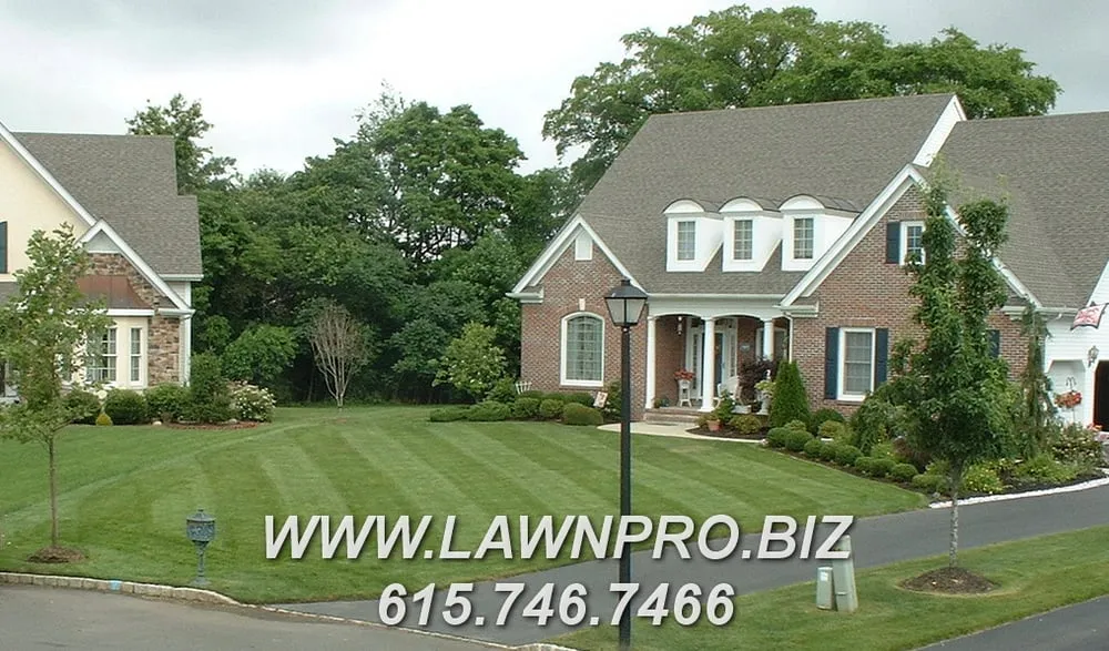 Affordable landscaping services in Madison, TN - LawnPro