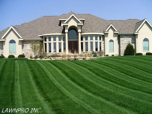 Professional garden landscaping in Madison, TN - LawnPro