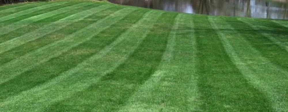 Custom yard maintenance in Monticello, KY by LawnPRO