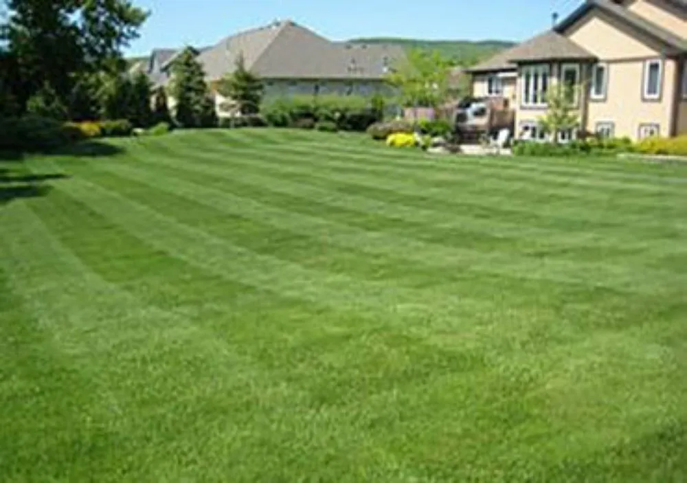 Local residential landscaping in Monticello, KY by LawnPRO