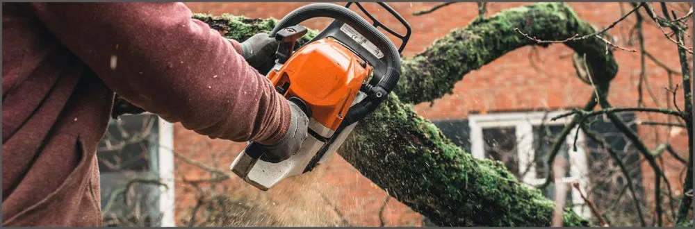 Expert landscape design for outdoor upgrades across Oakland Park, FL - Lawnpro Professional Service