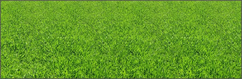 Top-rated garden landscaping for year-round maintenance in Oakland Park, FL by Lawnpro Professional Service