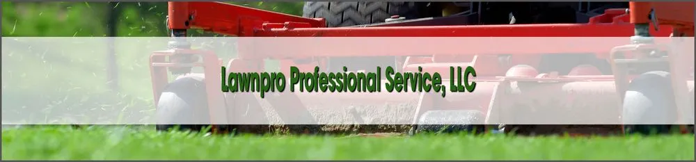 Affordable landscape design experts serving Oakland Park, FL - Lawnpro Professional Service