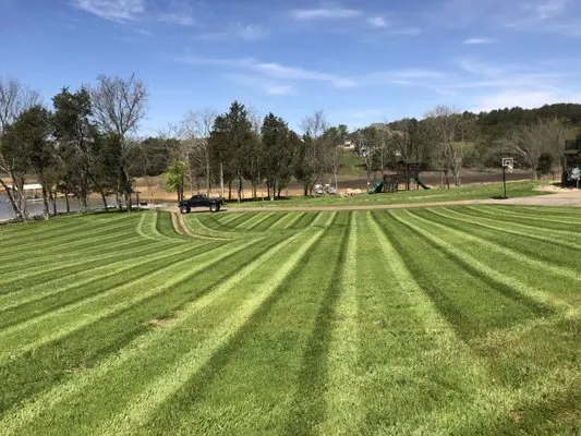 LawnPro