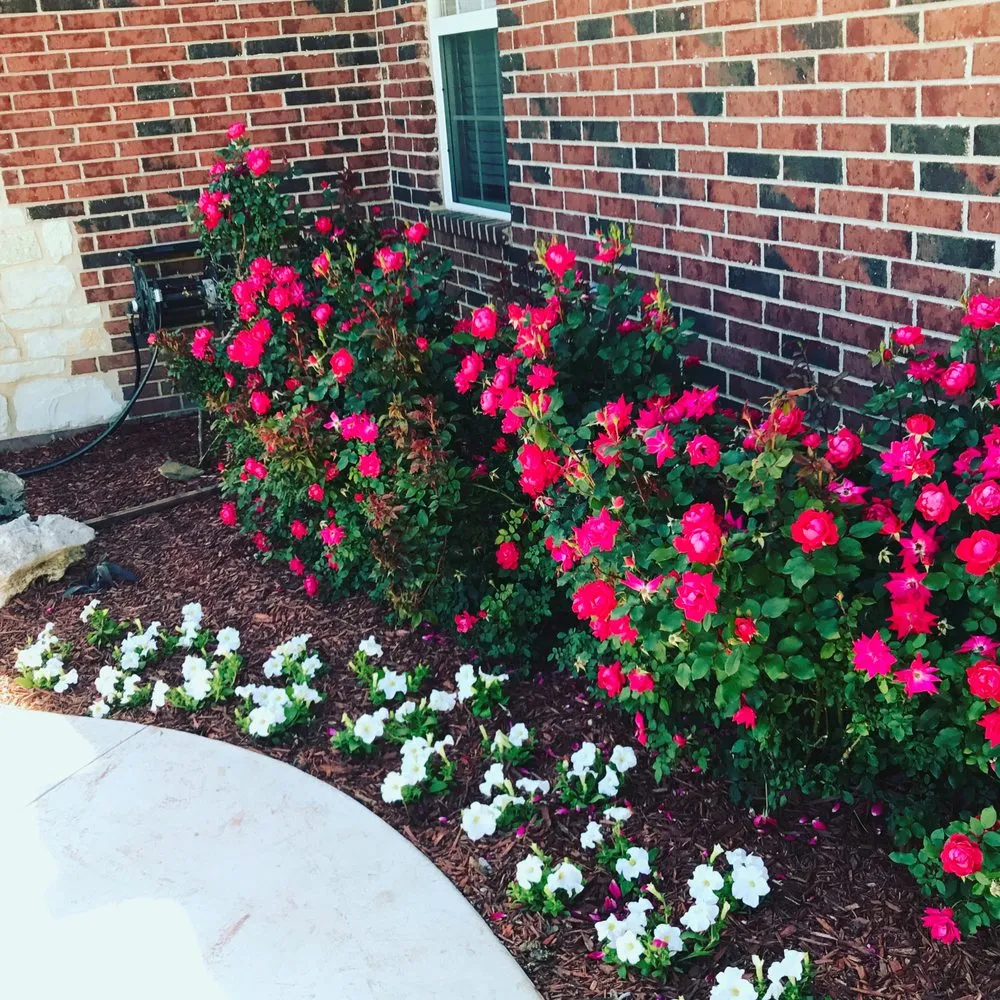 Custom lawn mowing service for residential properties across Glenpool, OK - LawnPro Specialists Of Tulsa