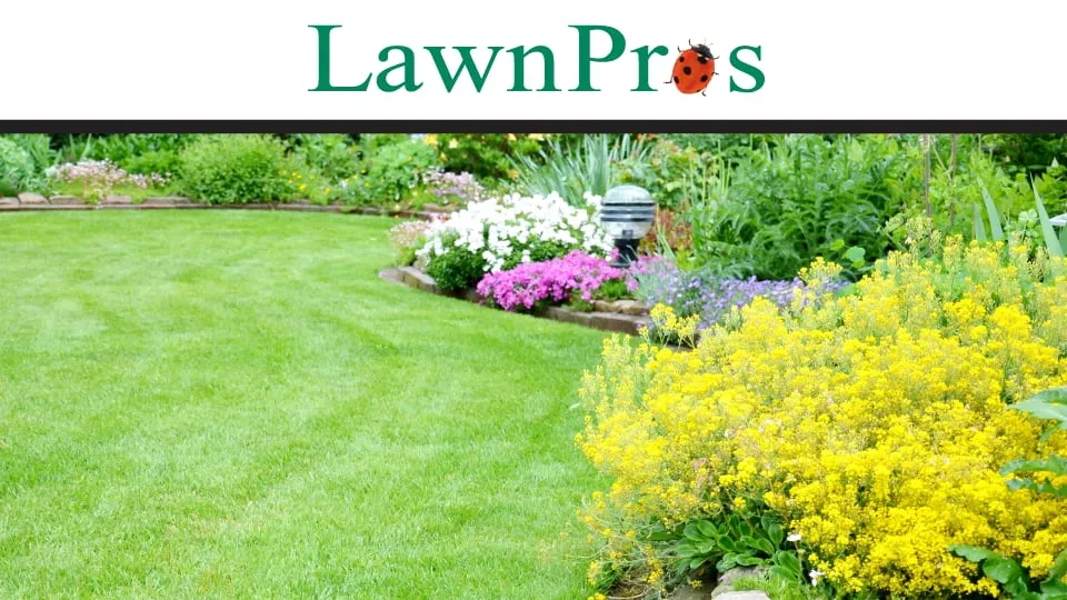 Professional lawn mowing service experts serving Harlingen, TX - LawnPros