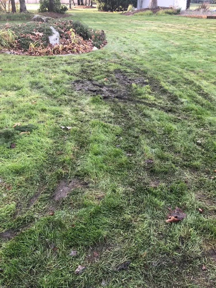 Custom yard maintenance in Yelm, WA by LawnPros Landscaping