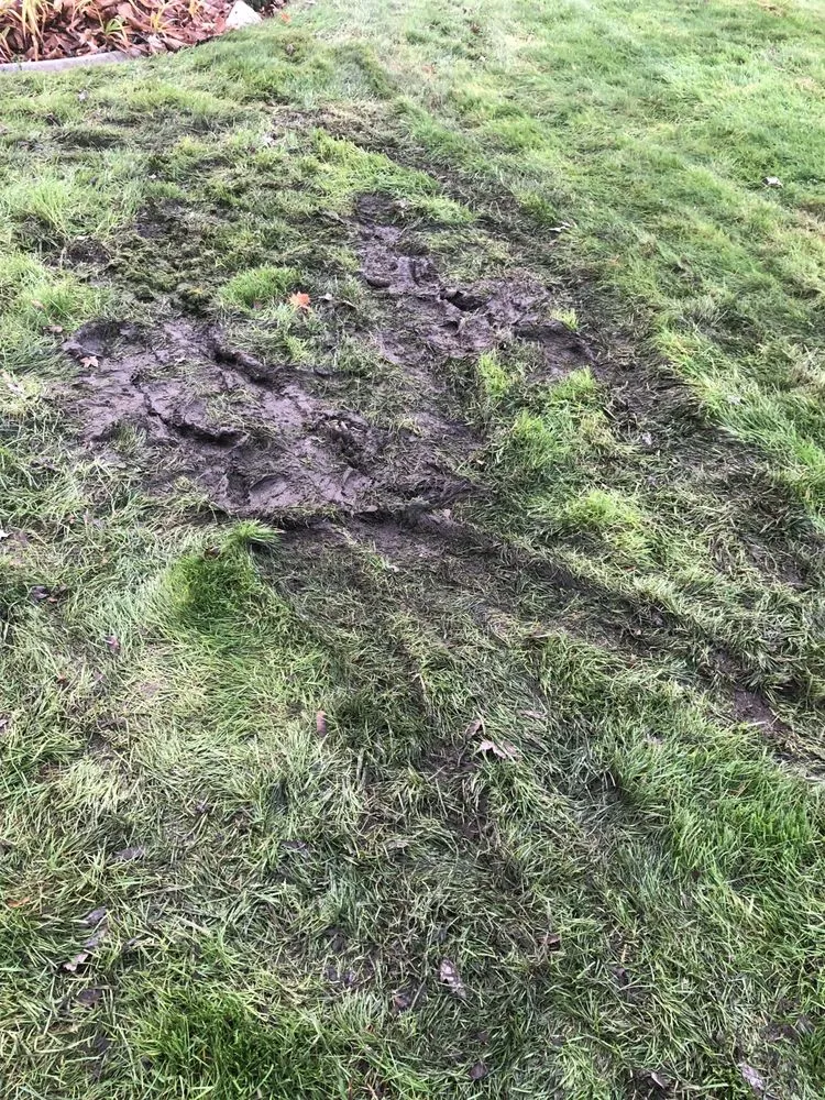 Custom landscape installation in Yelm, WA - LawnPros Landscaping