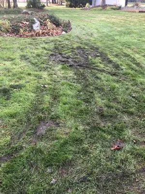 LawnPros Landscaping