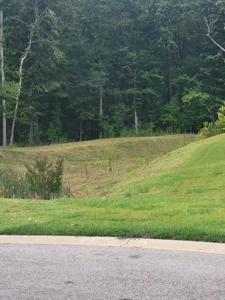 Professional garden landscaping experts serving Columbia, SC - Lawns & Moore