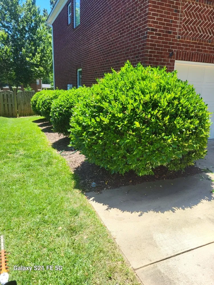 Custom residential landscaping near you across Columbia, SC - Lawns & Moore