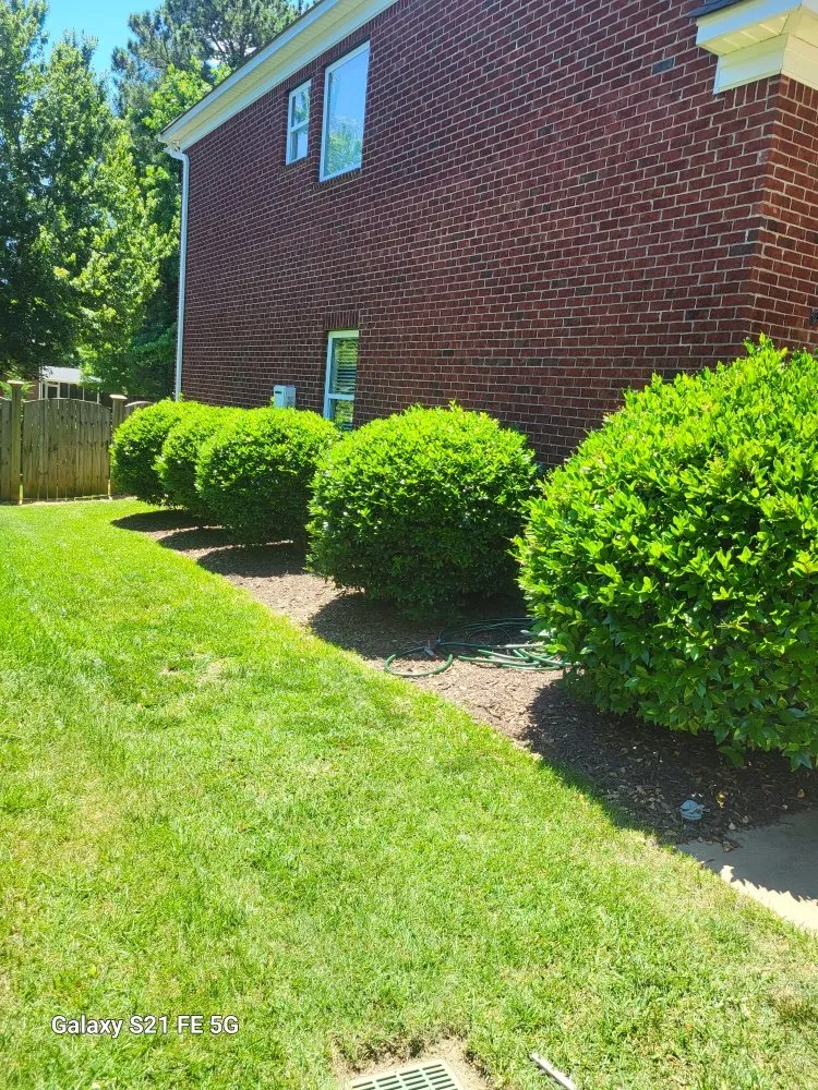 Local landscape installation for year-round maintenance in Columbia, SC by Lawns & Moore